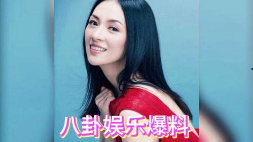 娱乐吃瓜酱明星八卦小说,吃瓜酱揭秘明星八卦秘闻