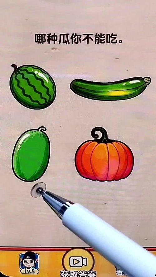 娱乐吃瓜素材在哪找,海量吃瓜素材,一网打尽!